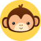 Testa di scimmia