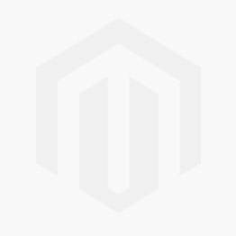 Obtention du trophée BiZNEXT édition Toulouse 2015 Logo Biznext